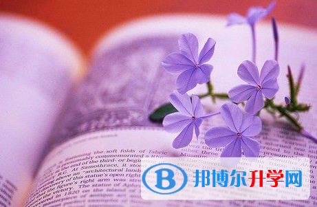 四川2021年中考網中考查詢