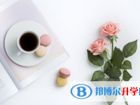 四川2021年中考報名服務(wù)平臺