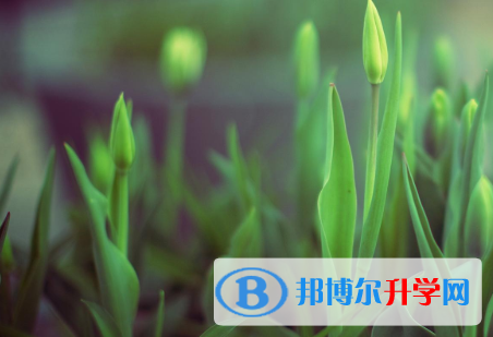 四川2021年中考報名網站登錄
