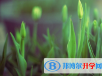 四川2021年中考報名網(wǎng)站登錄