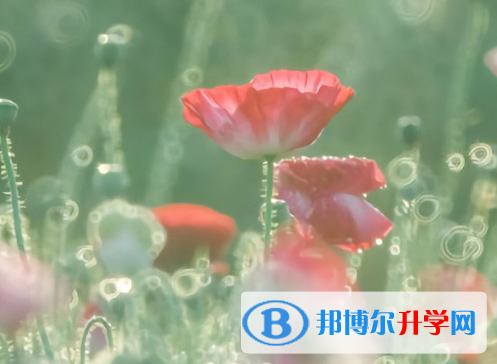 四川2021年中考報名網址