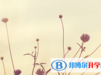 四川2021年中考報(bào)名志愿