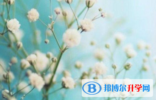 四川2021年中考模擬填報志愿