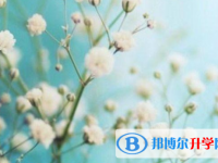 四川2021年中考模擬填報(bào)志愿