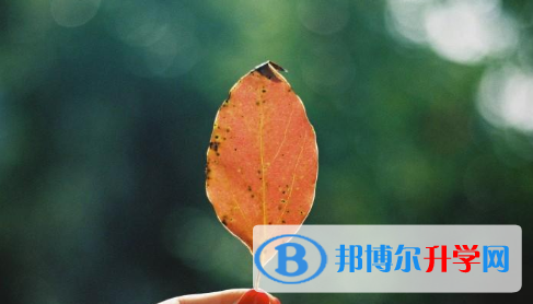 四川2021年中考調劑志愿