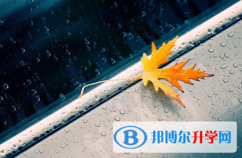 四川2021年中考調劑志愿是什么意思