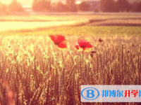四川2021年中考志愿填報(bào)技巧