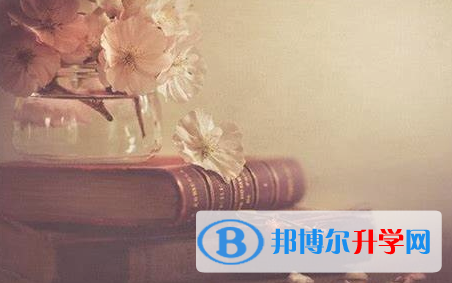 自貢2021年查詢中考成績上哪個網站