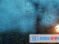 自貢2021年今年的中考成績(jī)