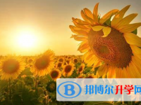 自貢2021年如何查詢中考成績(jī)