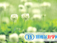 自貢2021年如何查詢中考成績(jī)單