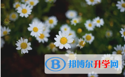 自貢2021年如何查詢中考錄取結果