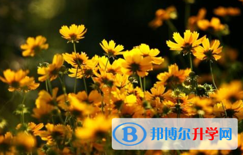 自貢2021年網上查詢中考成績
