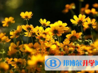 自貢2021年網(wǎng)上查詢中考成績(jī)