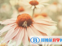 自貢2021年怎樣查詢中考藝體考試成績(jī)