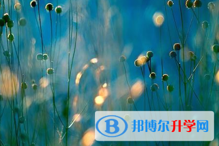 自貢2021年怎樣從網(wǎng)上查詢中考成績(jī)