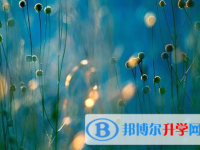 自貢2021年怎樣從網(wǎng)上查詢中考成績(jī)