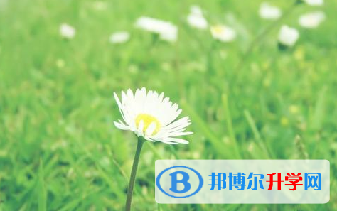 自貢2021年怎樣對(duì)待中考成績(jī)