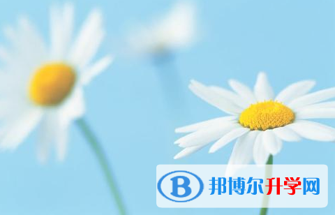 自貢2021年中考報(bào)名查詢