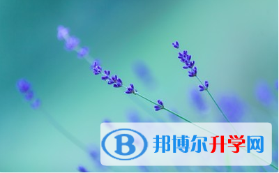 自貢2021年中考查詢成績網址