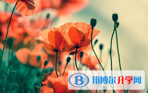 自貢2021年中考成績查詢網址