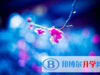 自貢2021年中考考號查詢