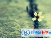 自貢2021年中考考生試卷查詢