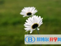 自貢2021年中考怎樣考出好成績