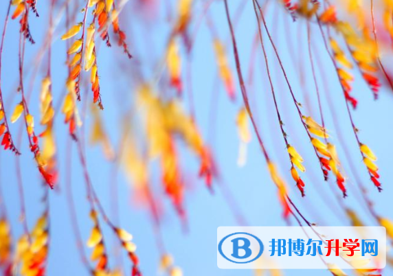 自貢2021年如何填中考學校