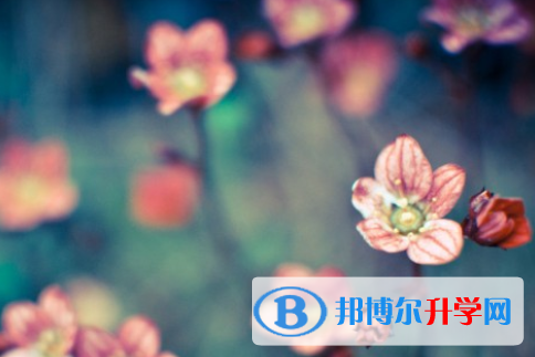 自貢2021年中考報(bào)名號(hào)