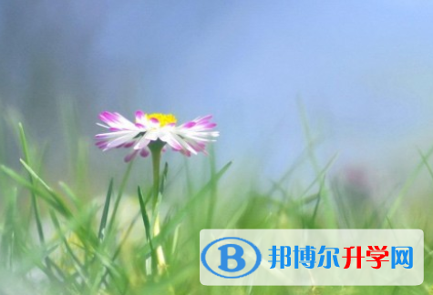 自貢2021年中考報(bào)名平臺