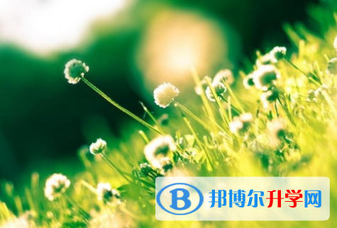 自貢2021年中考報名網