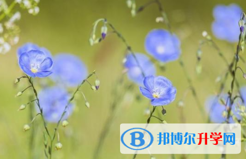 自貢2021年中考查詢系統的密碼記不到了怎么辦