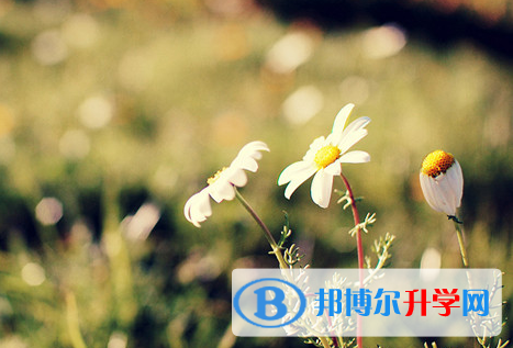 自貢2021年中考成績(jī)什么時(shí)候公布