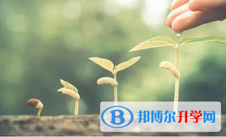自貢2021年中考成績重點線