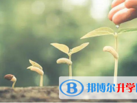 自貢2021年中考成績重點(diǎn)線