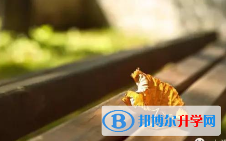 自貢2021年中考服務應用平臺