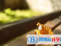 自貢2021年中考服務應用平臺