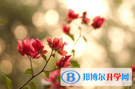 自貢2021年中考錄取報名網