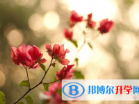 自貢2021年中考錄取報名網