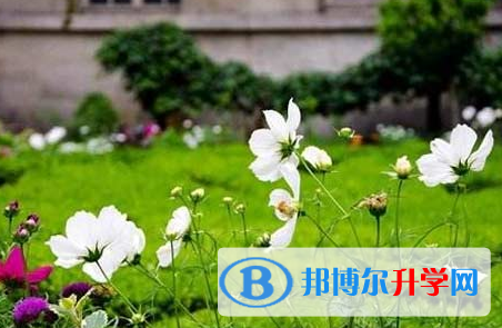 自貢2021年中考錄取查詢入口
