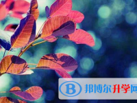 自貢2021年中考沒考上可以復讀嗎