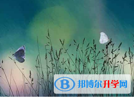 自貢2021年中考人數