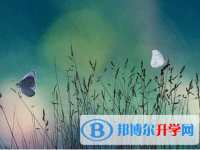 自貢2021年中考人數