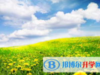 自貢2021年中考上的學校