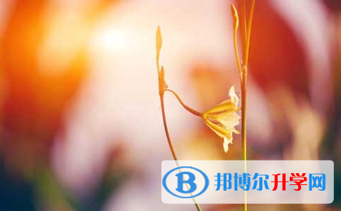 自貢2021年中考升學錄取比例
