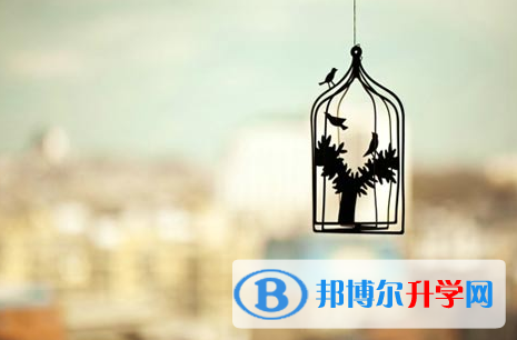 自貢2021年中考生落榜后可不可以選擇復讀
