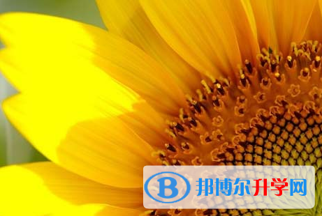 自貢2021年中考網錄取系統