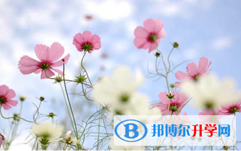 自貢2021年中考網(wǎng)絡(luò)登錄