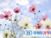 自貢2021年中考網絡登錄